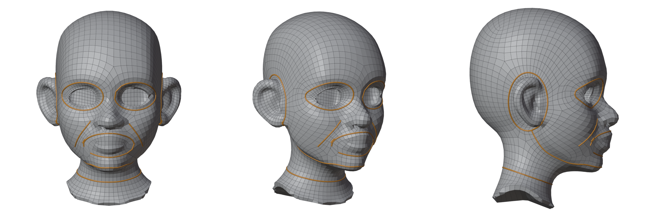 The remesh with every guide an edge loop